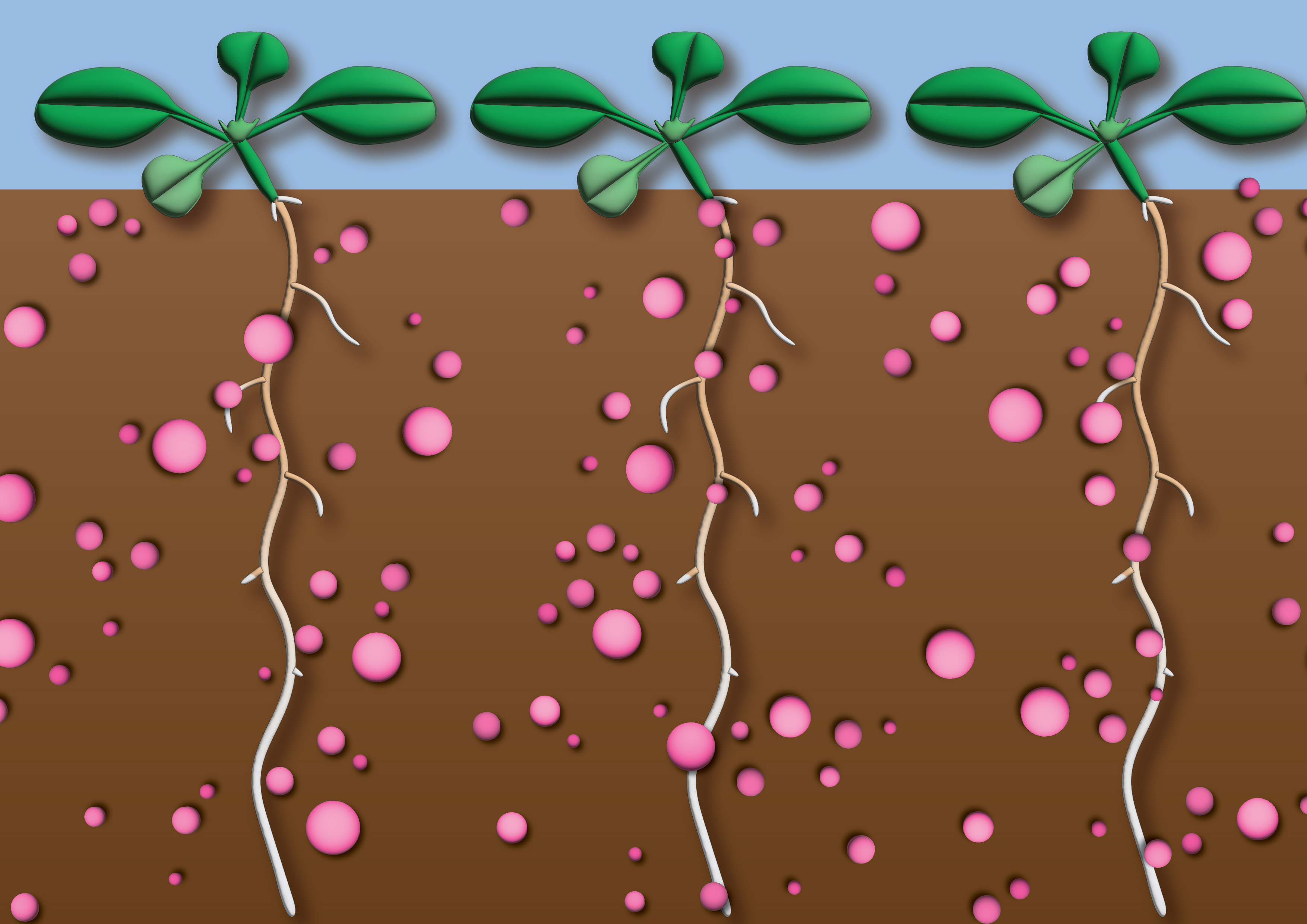 Nutrients and small molecule screening