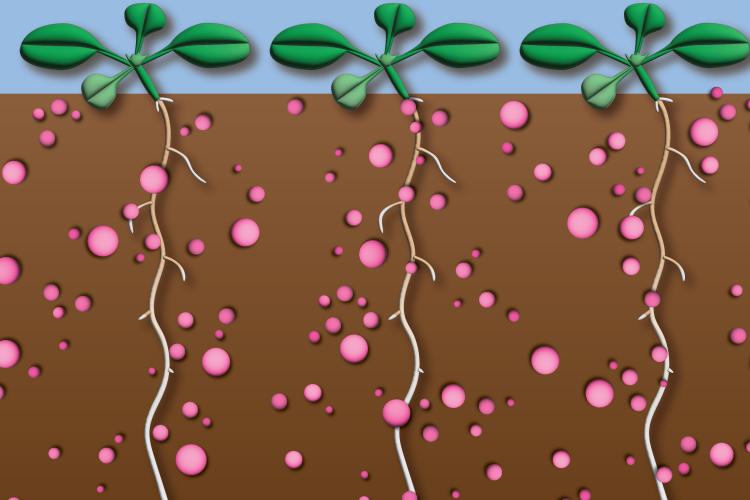 Nutrients and small molecule screening